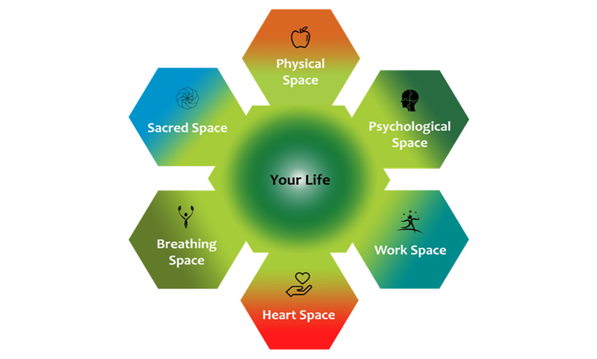 health and wellness wheel image